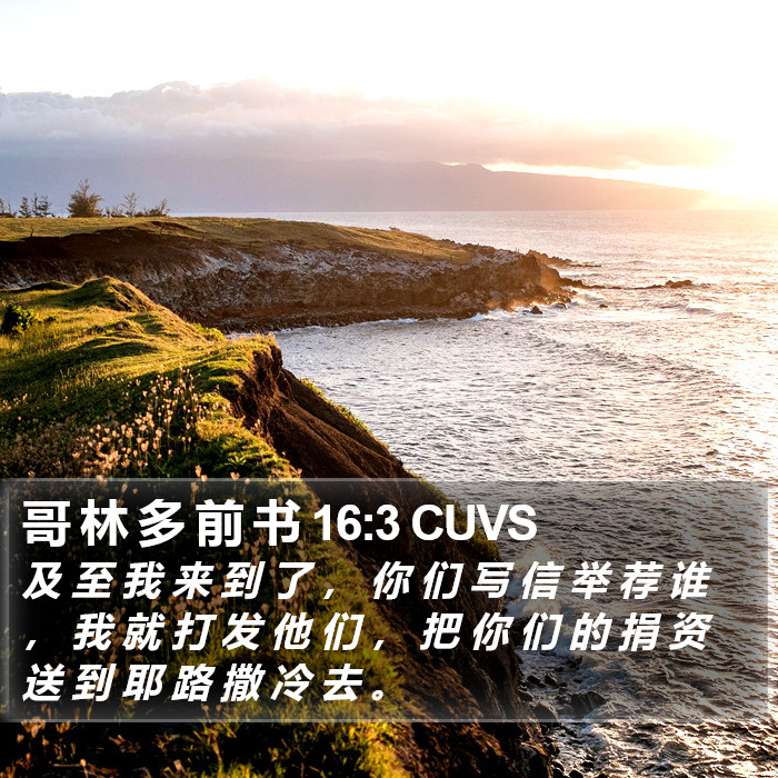 哥 林 多 前 书 16:3 CUVS Bible Study