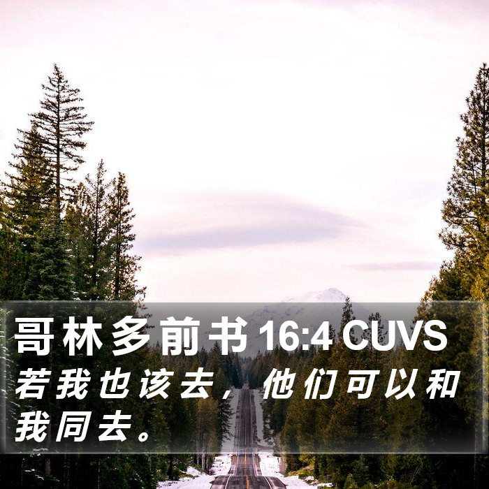 哥 林 多 前 书 16:4 CUVS Bible Study
