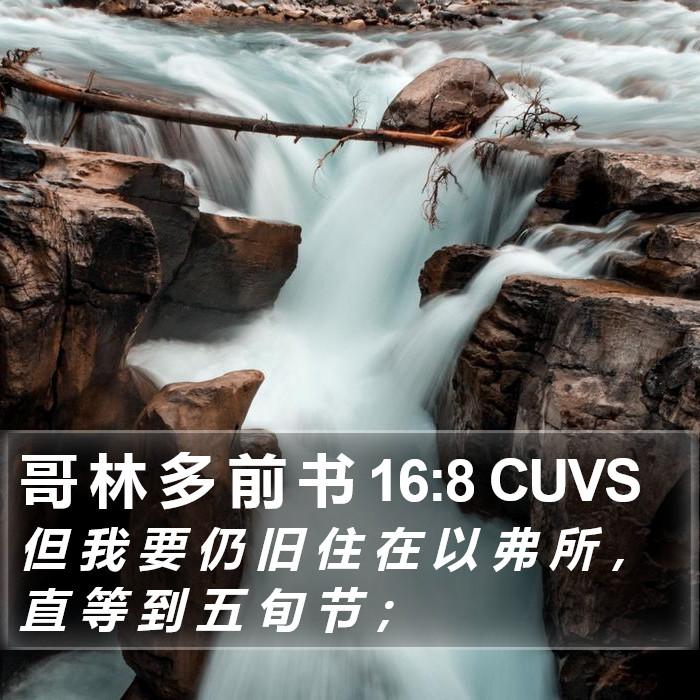 哥 林 多 前 书 16:8 CUVS Bible Study