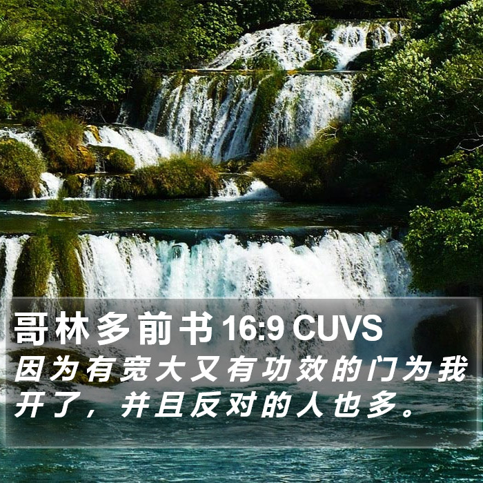 哥 林 多 前 书 16:9 CUVS Bible Study