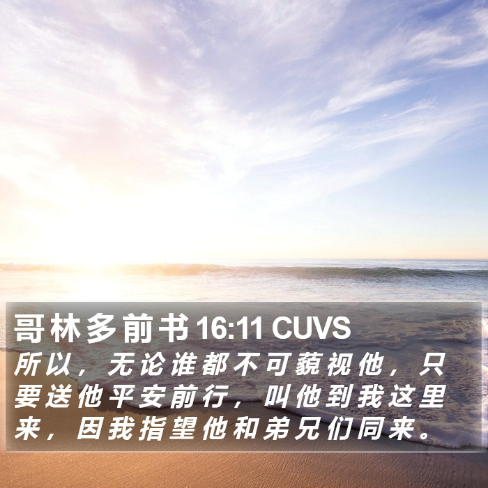 哥 林 多 前 书 16:11 CUVS Bible Study