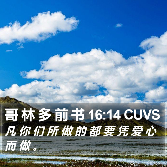 哥 林 多 前 书 16:14 CUVS Bible Study