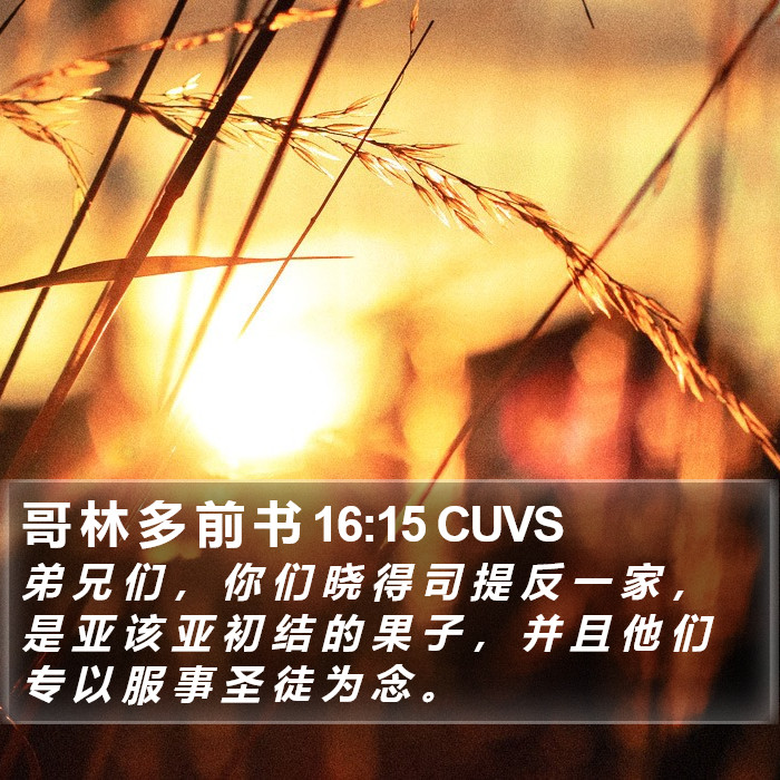 哥 林 多 前 书 16:15 CUVS Bible Study