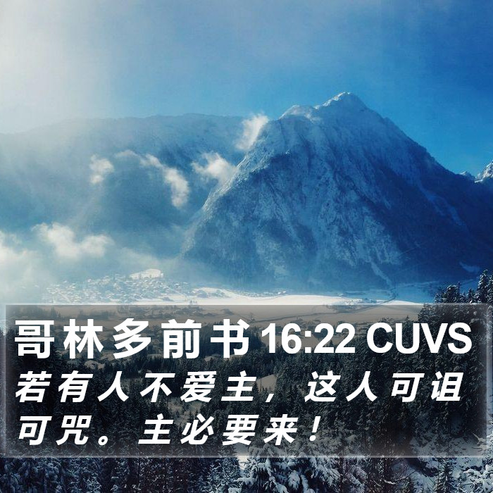 哥 林 多 前 书 16:22 CUVS Bible Study