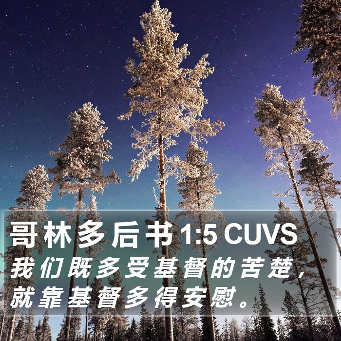 哥 林 多 后 书 1:5 CUVS Bible Study