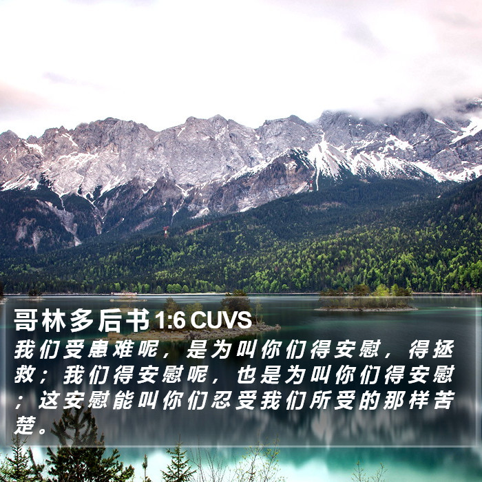 哥 林 多 后 书 1:6 CUVS Bible Study