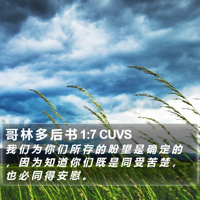 哥 林 多 后 书 1:7 CUVS Bible Study