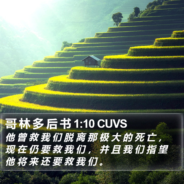 哥 林 多 后 书 1:10 CUVS Bible Study