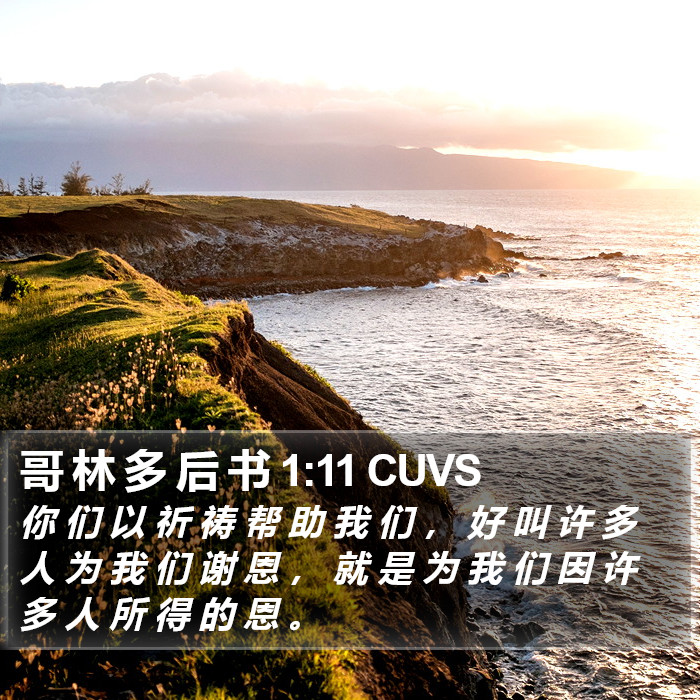 哥 林 多 后 书 1:11 CUVS Bible Study