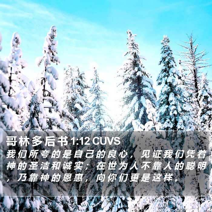 哥 林 多 后 书 1:12 CUVS Bible Study