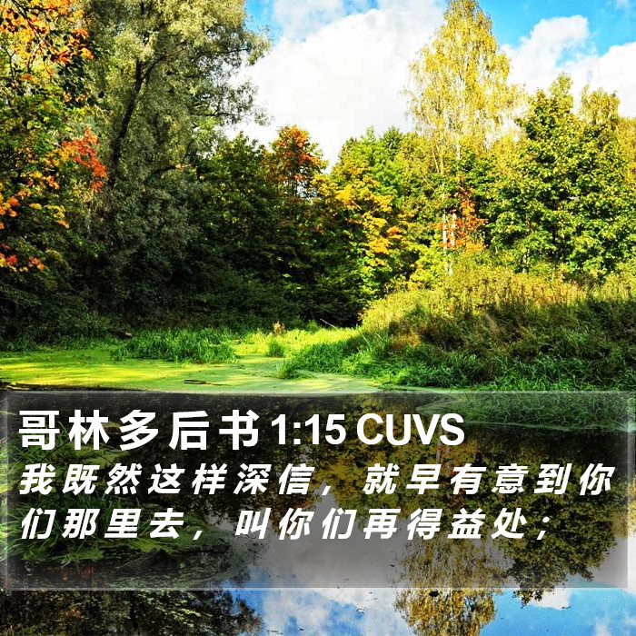 哥 林 多 后 书 1:15 CUVS Bible Study