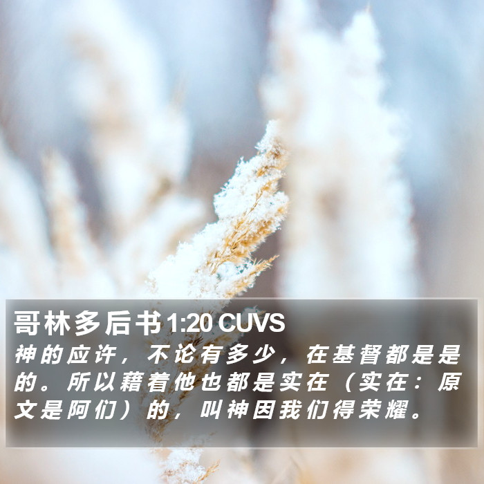 哥 林 多 后 书 1:20 CUVS Bible Study