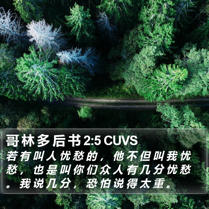 哥 林 多 后 书 2:5 CUVS Bible Study