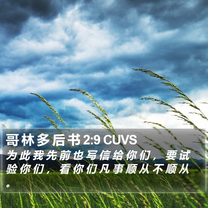 哥 林 多 后 书 2:9 CUVS Bible Study