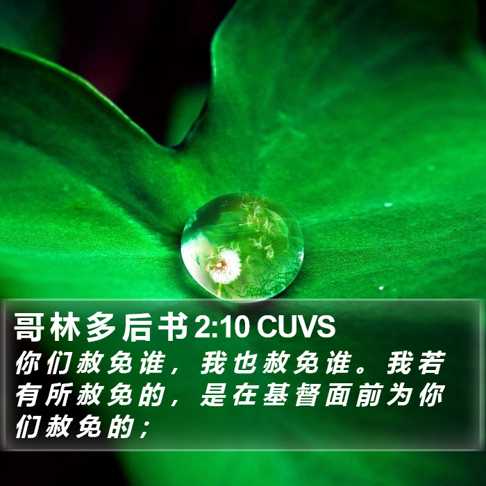 哥 林 多 后 书 2:10 CUVS Bible Study