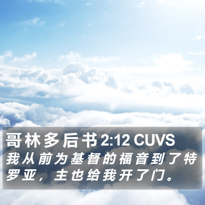 哥 林 多 后 书 2:12 CUVS Bible Study