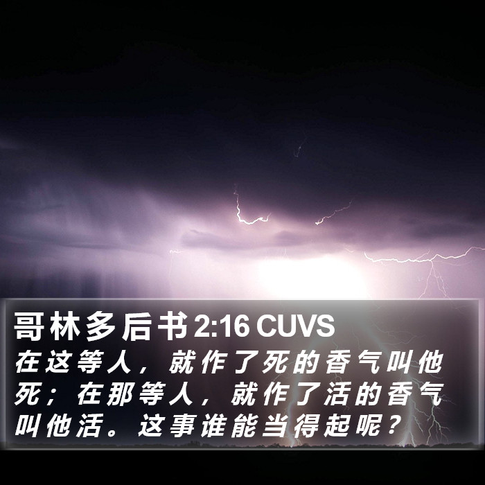 哥 林 多 后 书 2:16 CUVS Bible Study