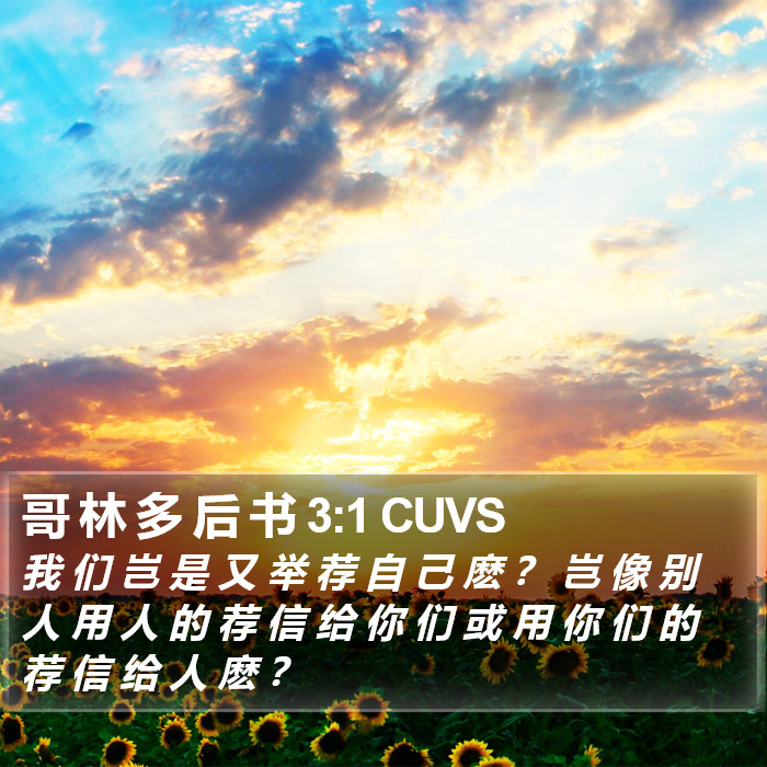 哥 林 多 后 书 3:1 CUVS Bible Study