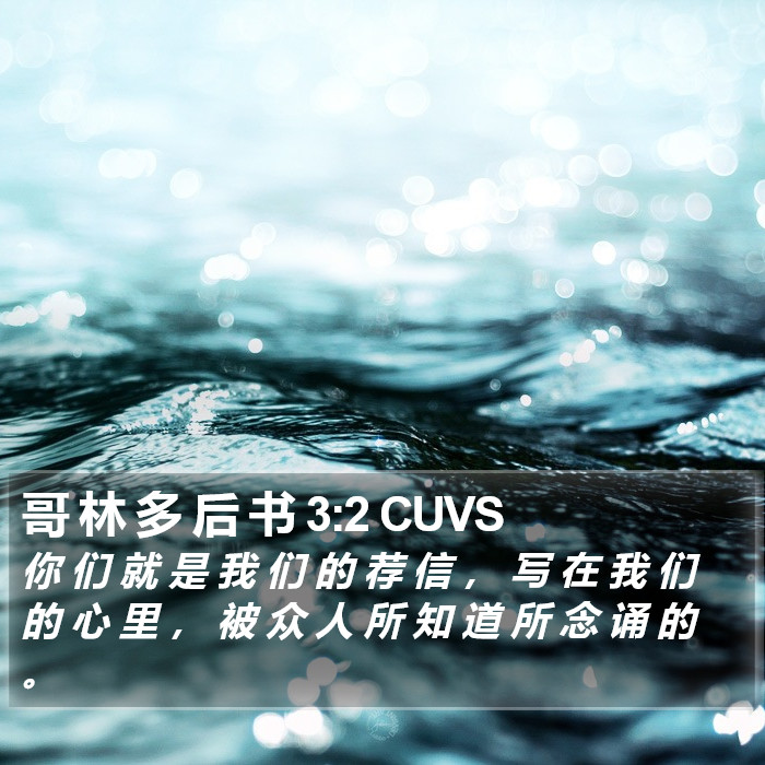 哥 林 多 后 书 3:2 CUVS Bible Study