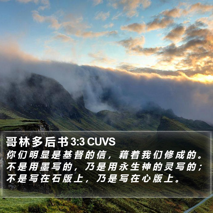 哥 林 多 后 书 3:3 CUVS Bible Study