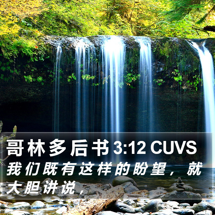 哥 林 多 后 书 3:12 CUVS Bible Study