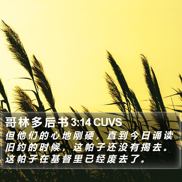 哥 林 多 后 书 3:14 CUVS Bible Study
