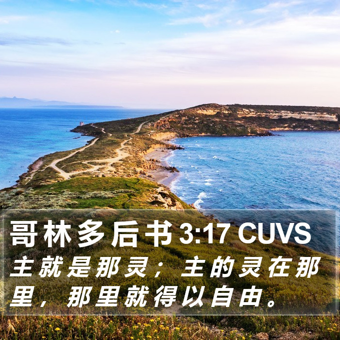 哥 林 多 后 书 3:17 CUVS Bible Study