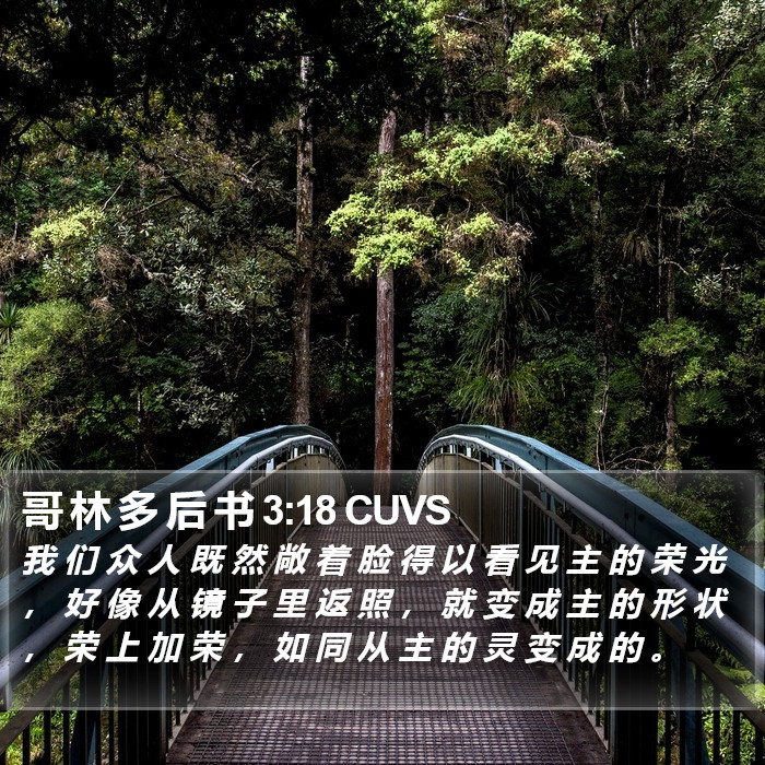 哥 林 多 后 书 3:18 CUVS Bible Study