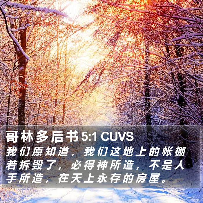 哥 林 多 后 书 5:1 CUVS Bible Study