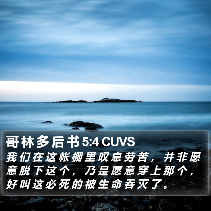 哥 林 多 后 书 5:4 CUVS Bible Study