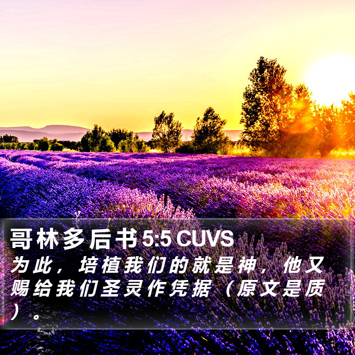 哥 林 多 后 书 5:5 CUVS Bible Study