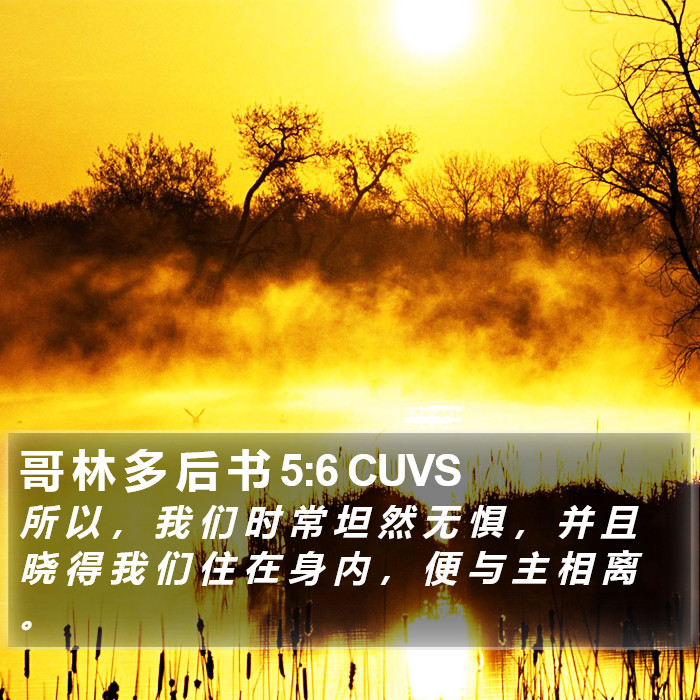 哥 林 多 后 书 5:6 CUVS Bible Study