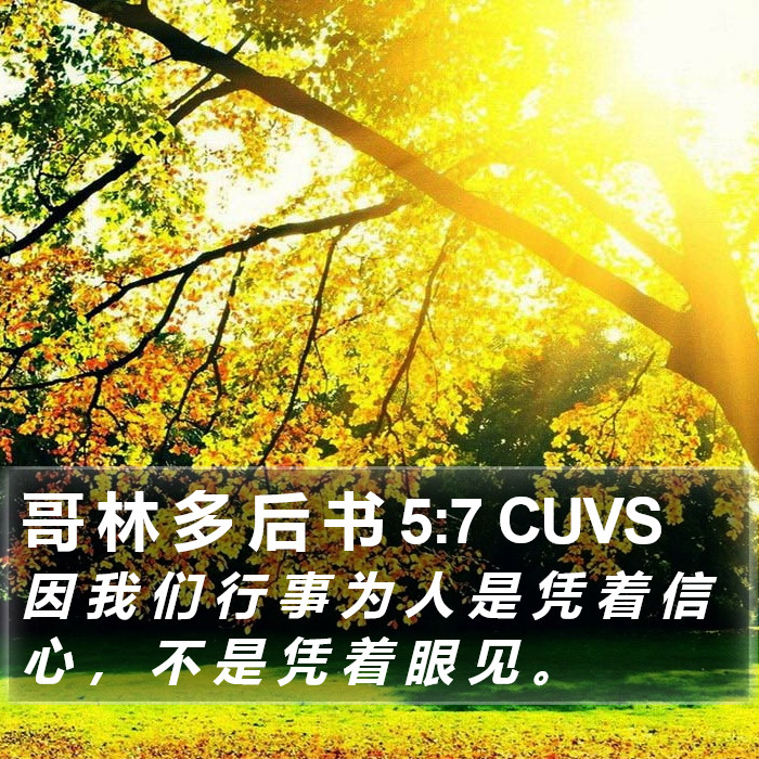 哥 林 多 后 书 5:7 CUVS Bible Study