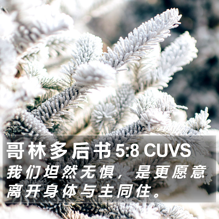 哥 林 多 后 书 5:8 CUVS Bible Study