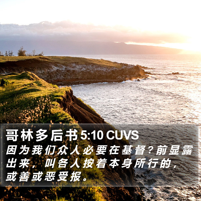 哥 林 多 后 书 5:10 CUVS Bible Study