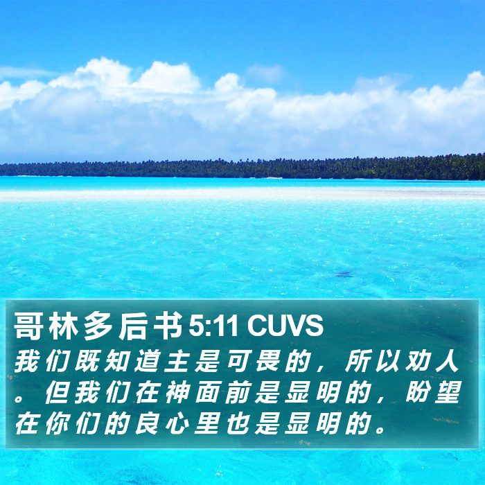 哥 林 多 后 书 5:11 CUVS Bible Study