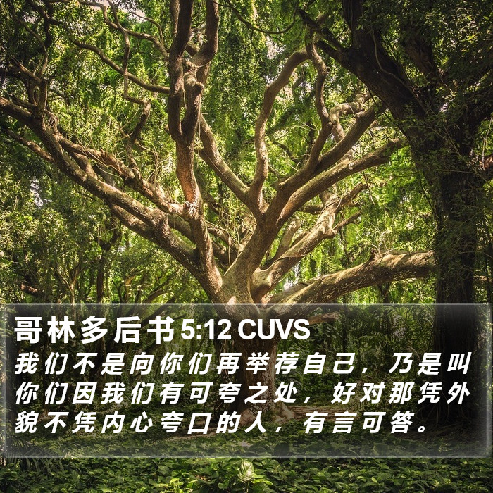 哥 林 多 后 书 5:12 CUVS Bible Study