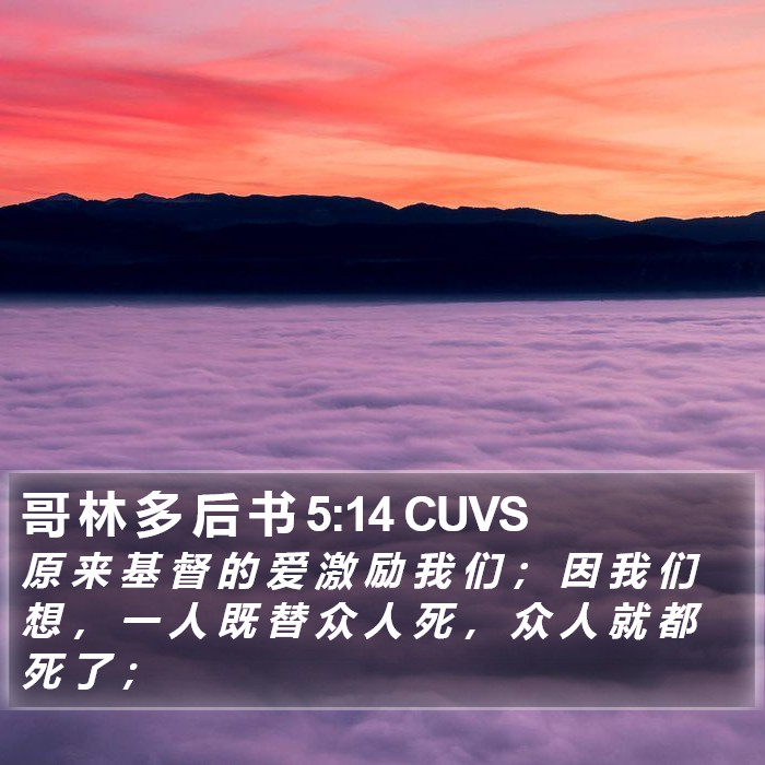 哥 林 多 后 书 5:14 CUVS Bible Study