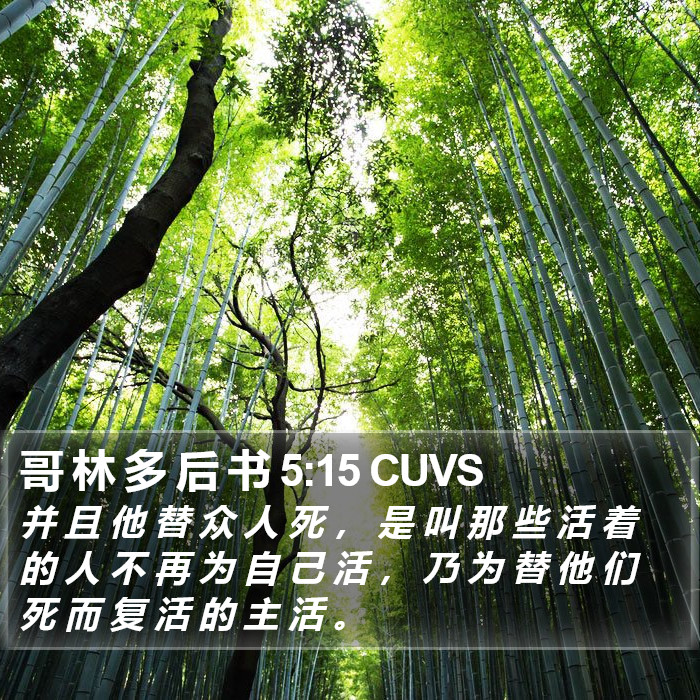 哥 林 多 后 书 5:15 CUVS Bible Study