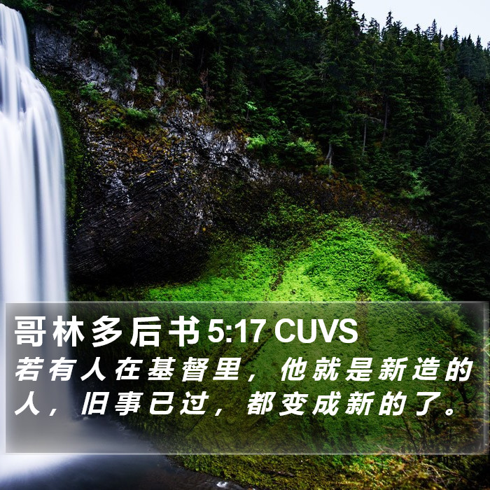 哥 林 多 后 书 5:17 CUVS Bible Study