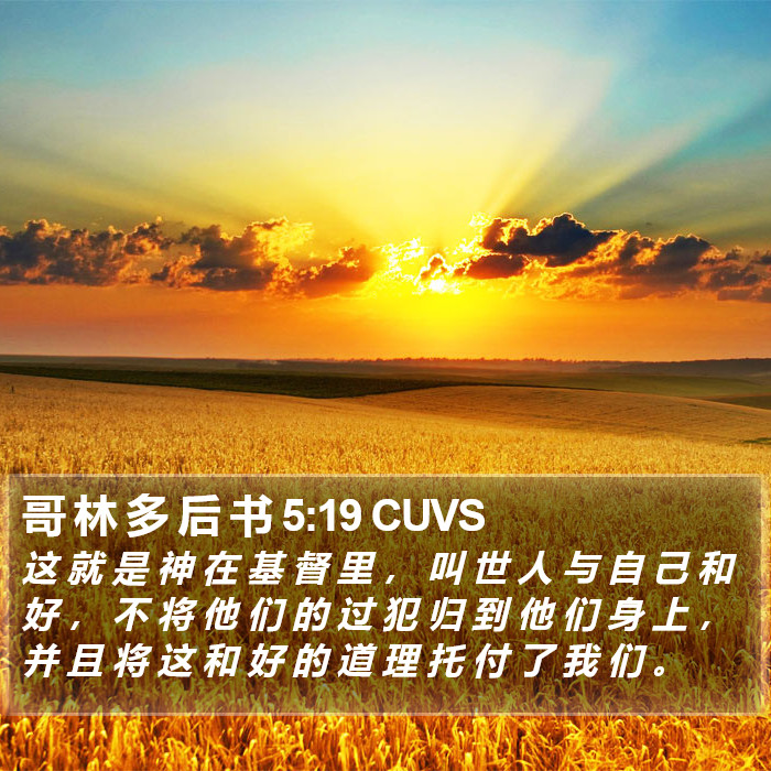 哥 林 多 后 书 5:19 CUVS Bible Study