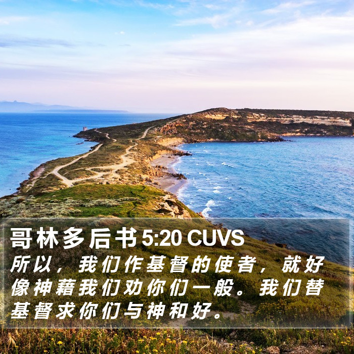 哥 林 多 后 书 5:20 CUVS Bible Study