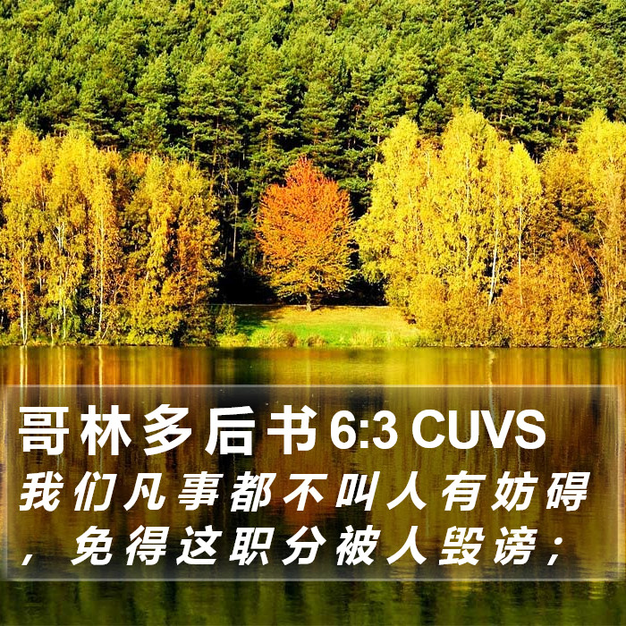 哥 林 多 后 书 6:3 CUVS Bible Study