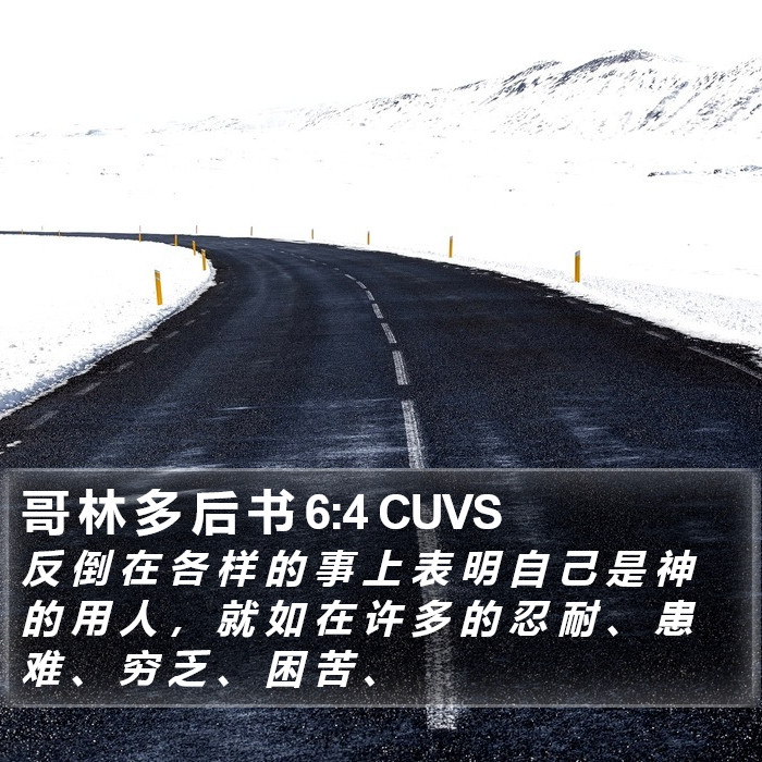 哥 林 多 后 书 6:4 CUVS Bible Study