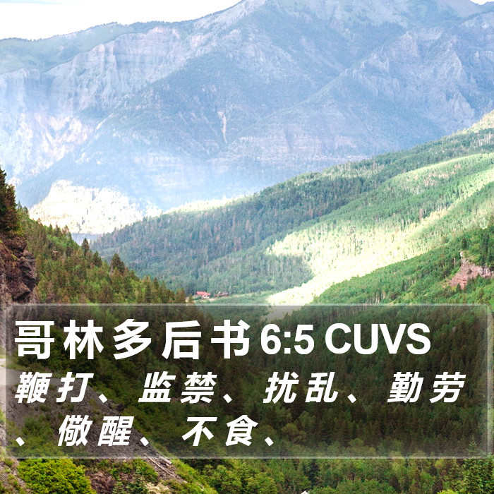 哥 林 多 后 书 6:5 CUVS Bible Study