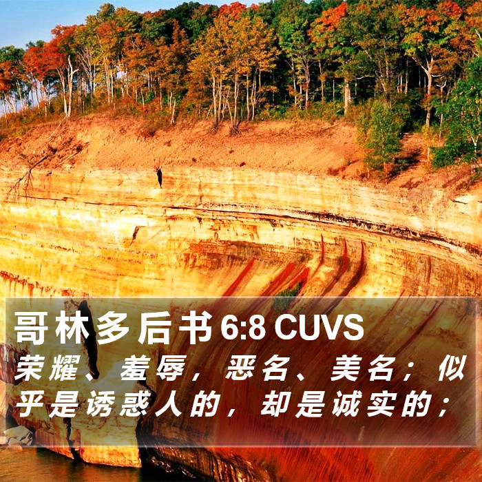 哥 林 多 后 书 6:8 CUVS Bible Study