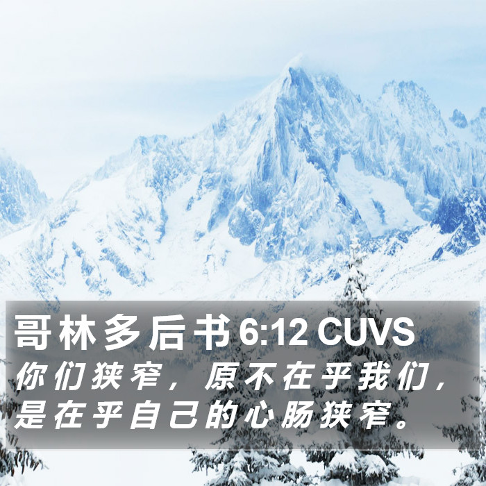 哥 林 多 后 书 6:12 CUVS Bible Study