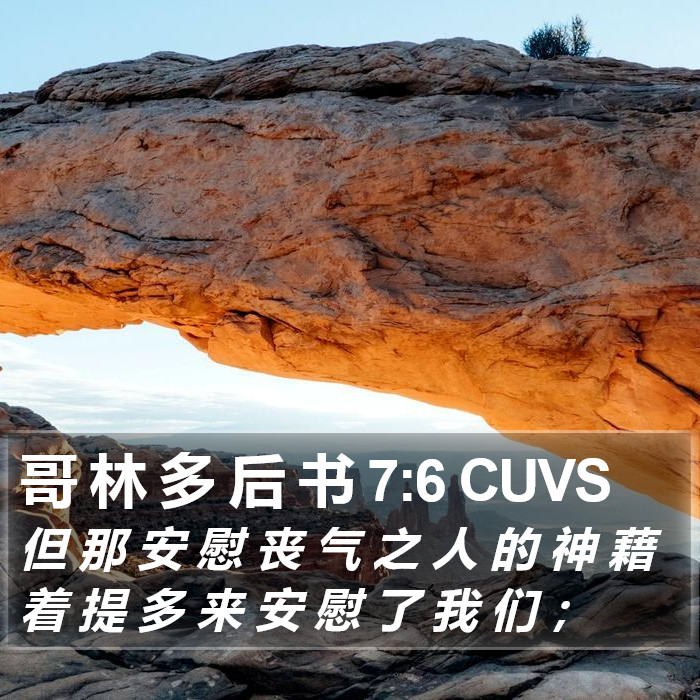 哥 林 多 后 书 7:6 CUVS Bible Study