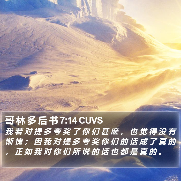 哥 林 多 后 书 7:14 CUVS Bible Study