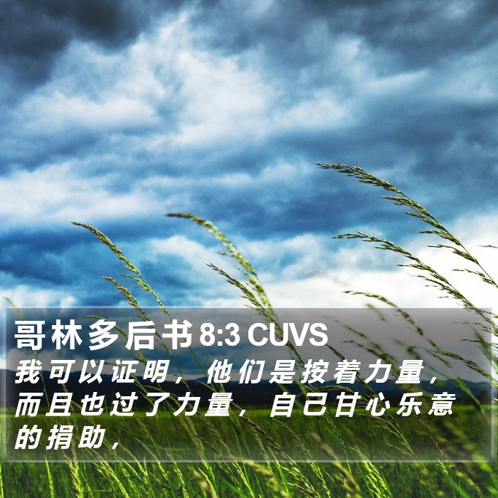 哥 林 多 后 书 8:3 CUVS Bible Study